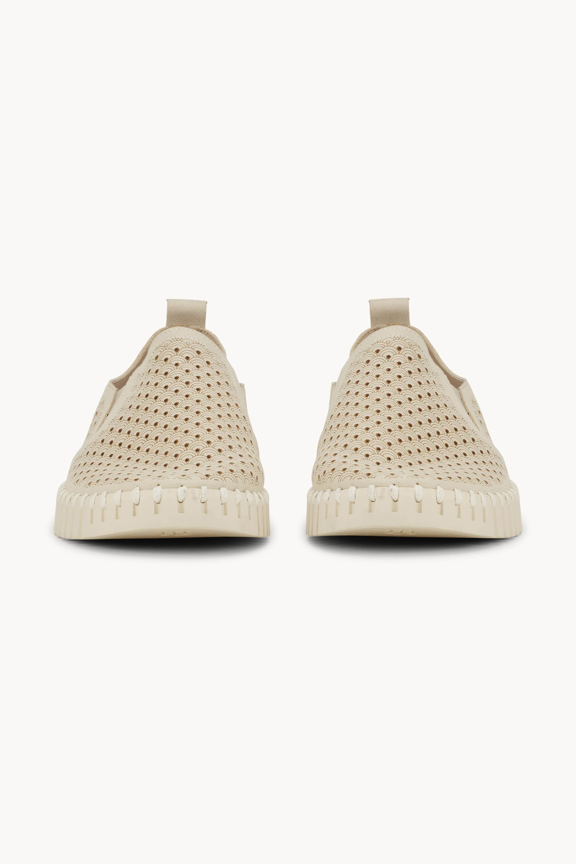 Zapatos Cómodos para Hombre - Kit