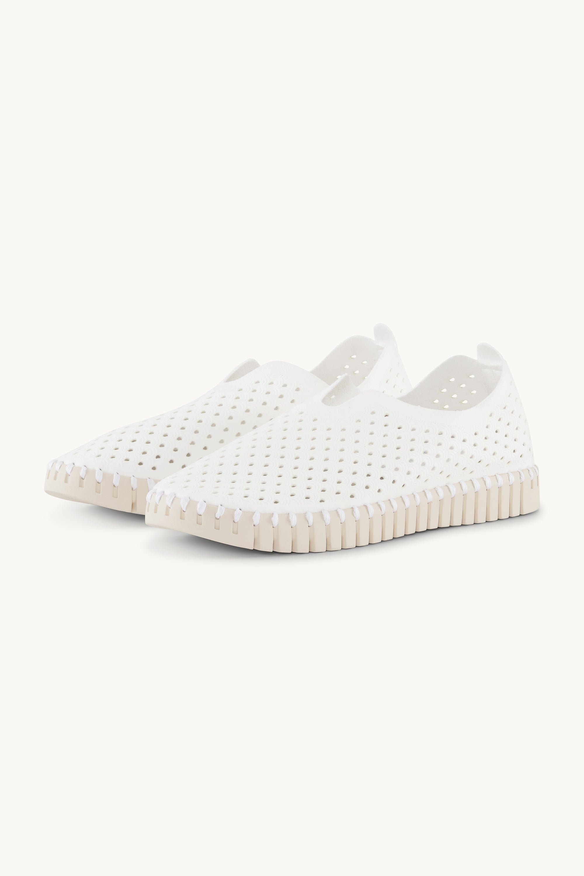 Tulip Zapatos Planos - White