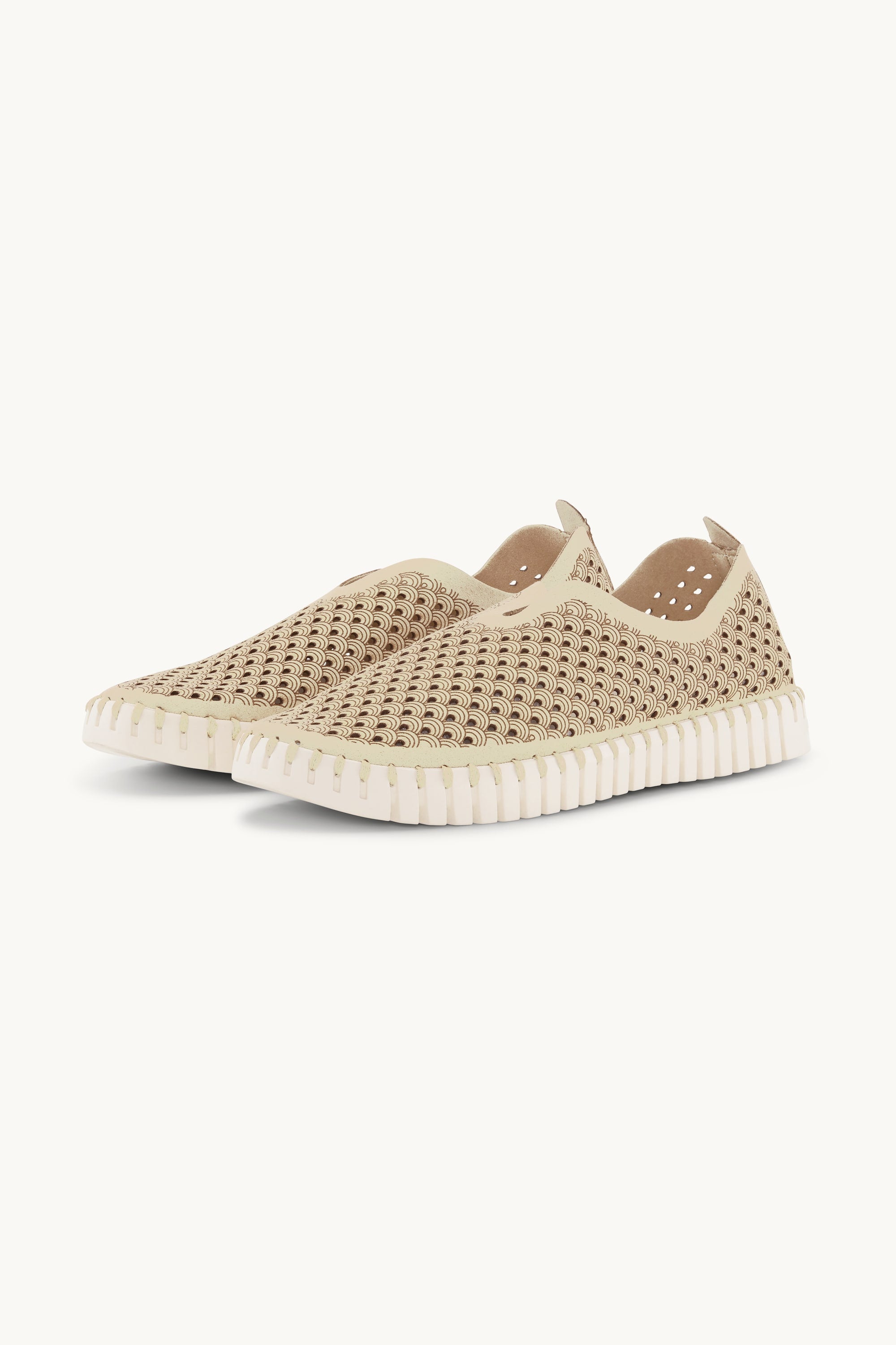 Tulip Flats - Kit