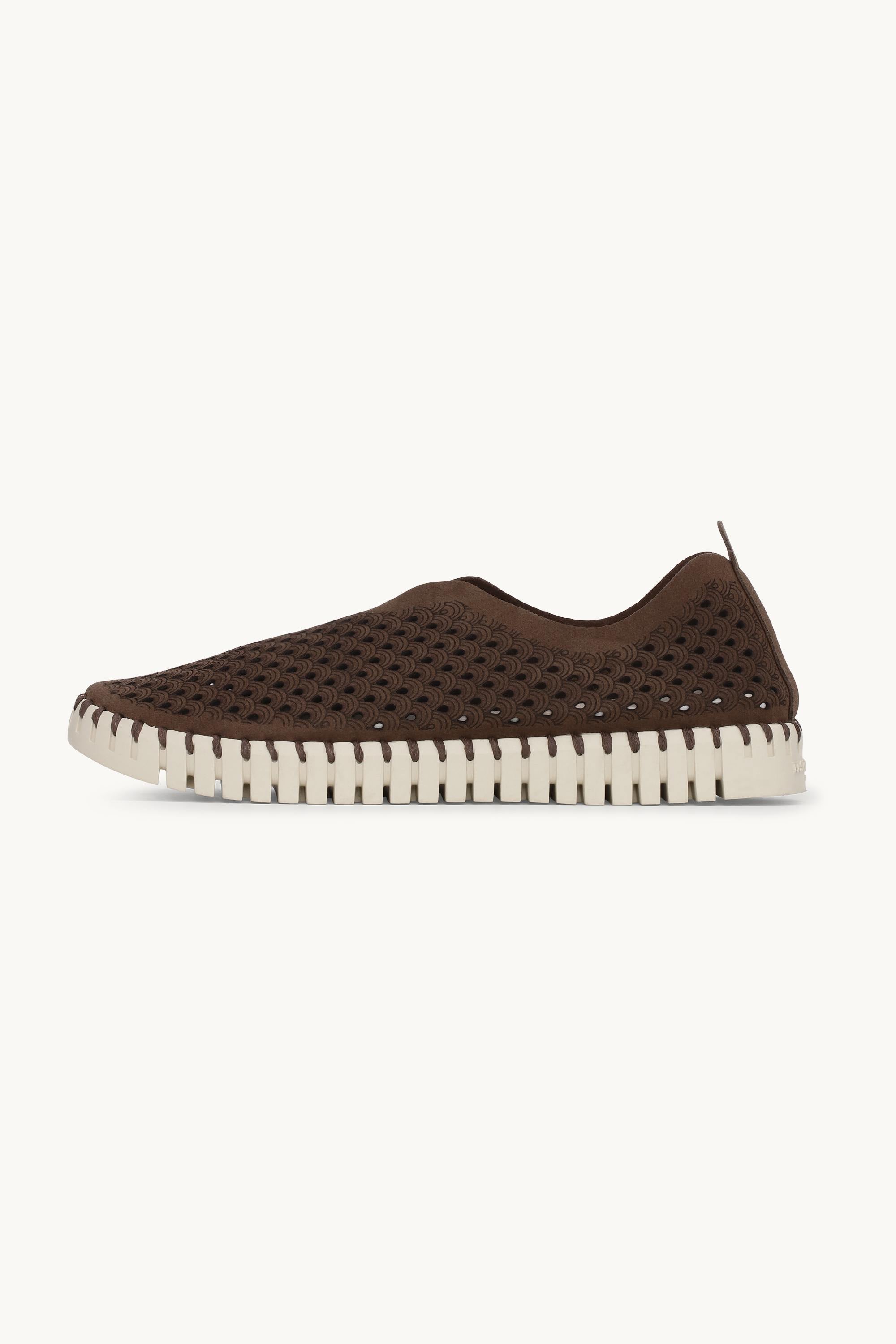 Tulip Flats - Brown Pearled Ivory