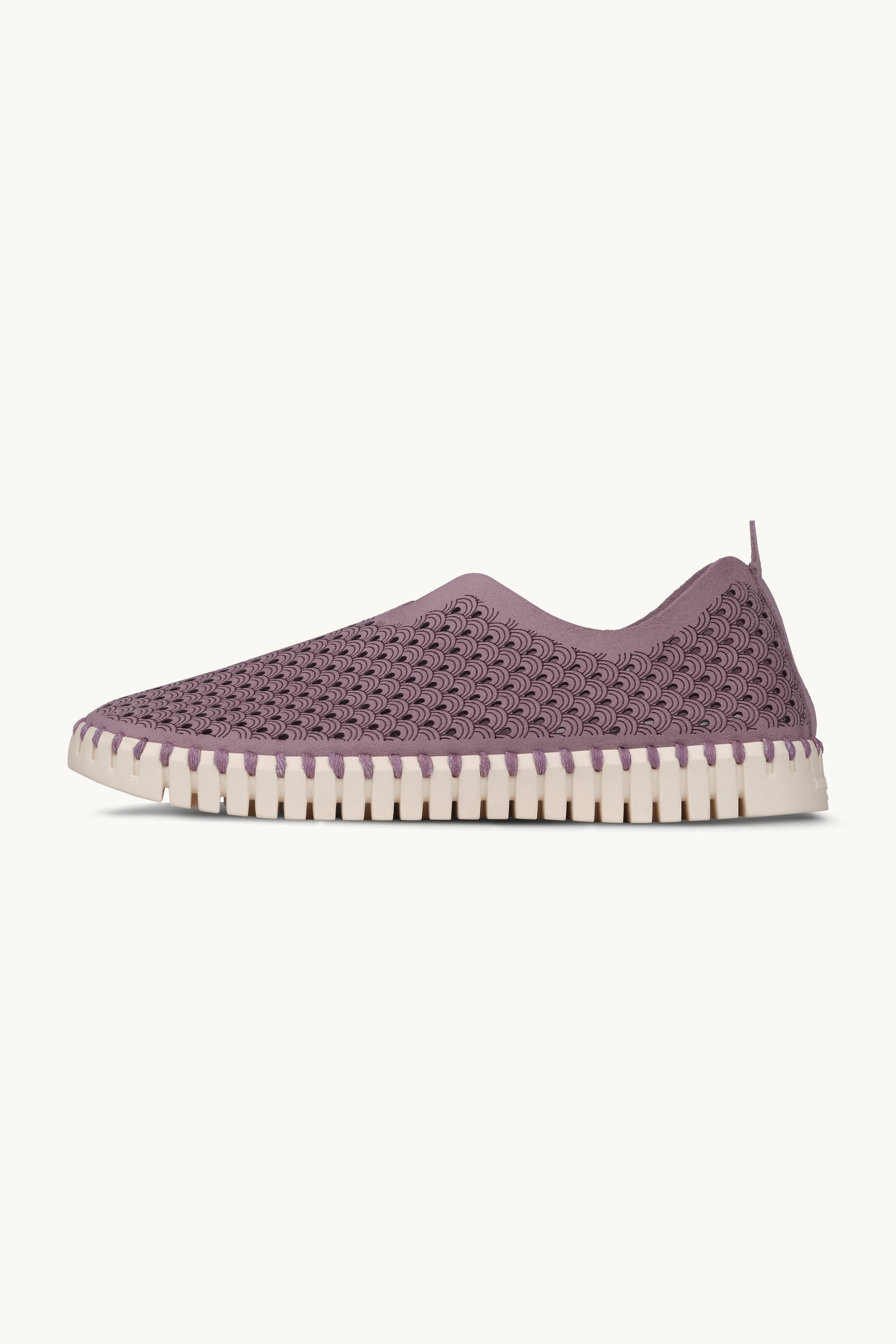 Tulip Flats - Mauve Shadows