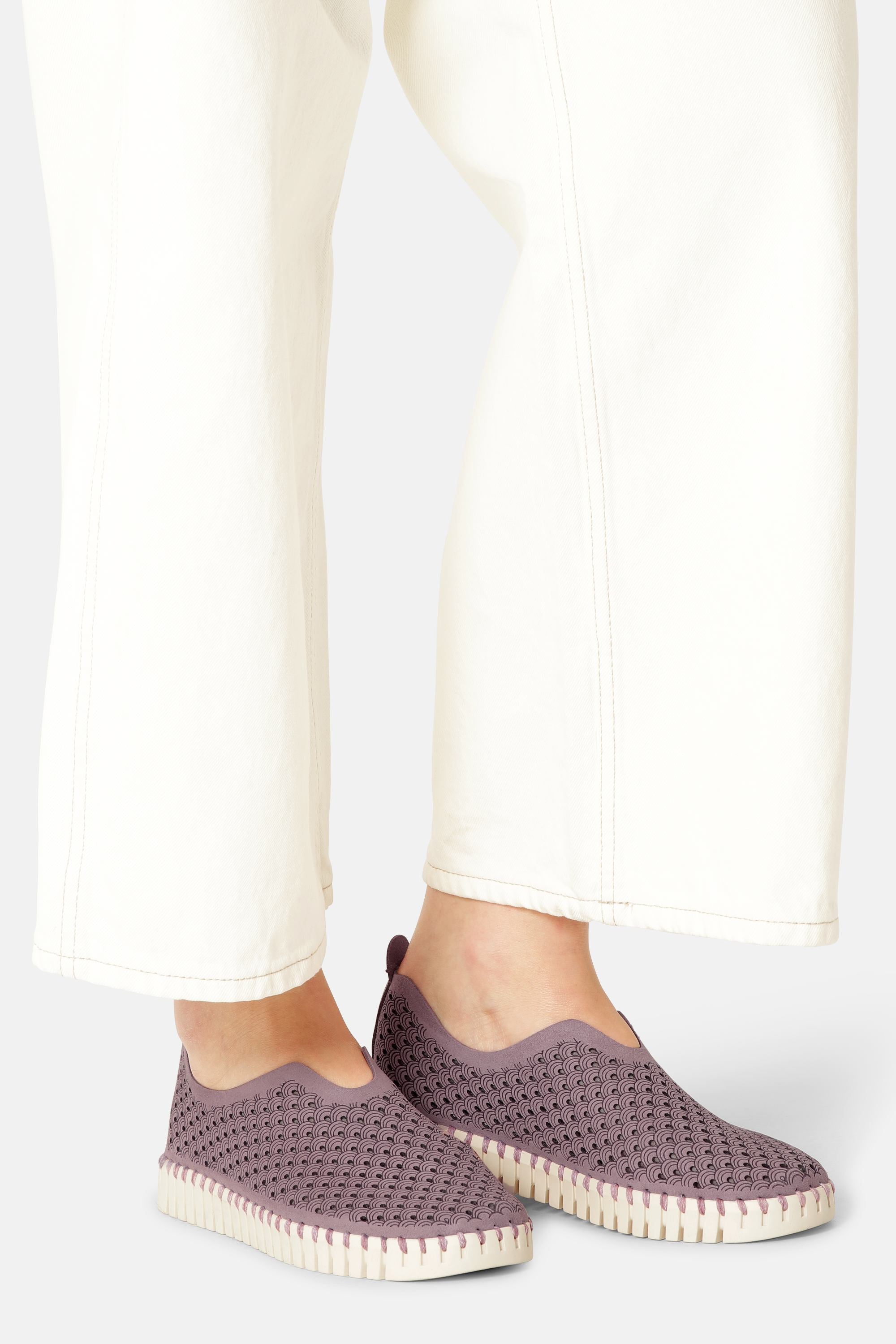 Tulip Flats - Mauve Shadows