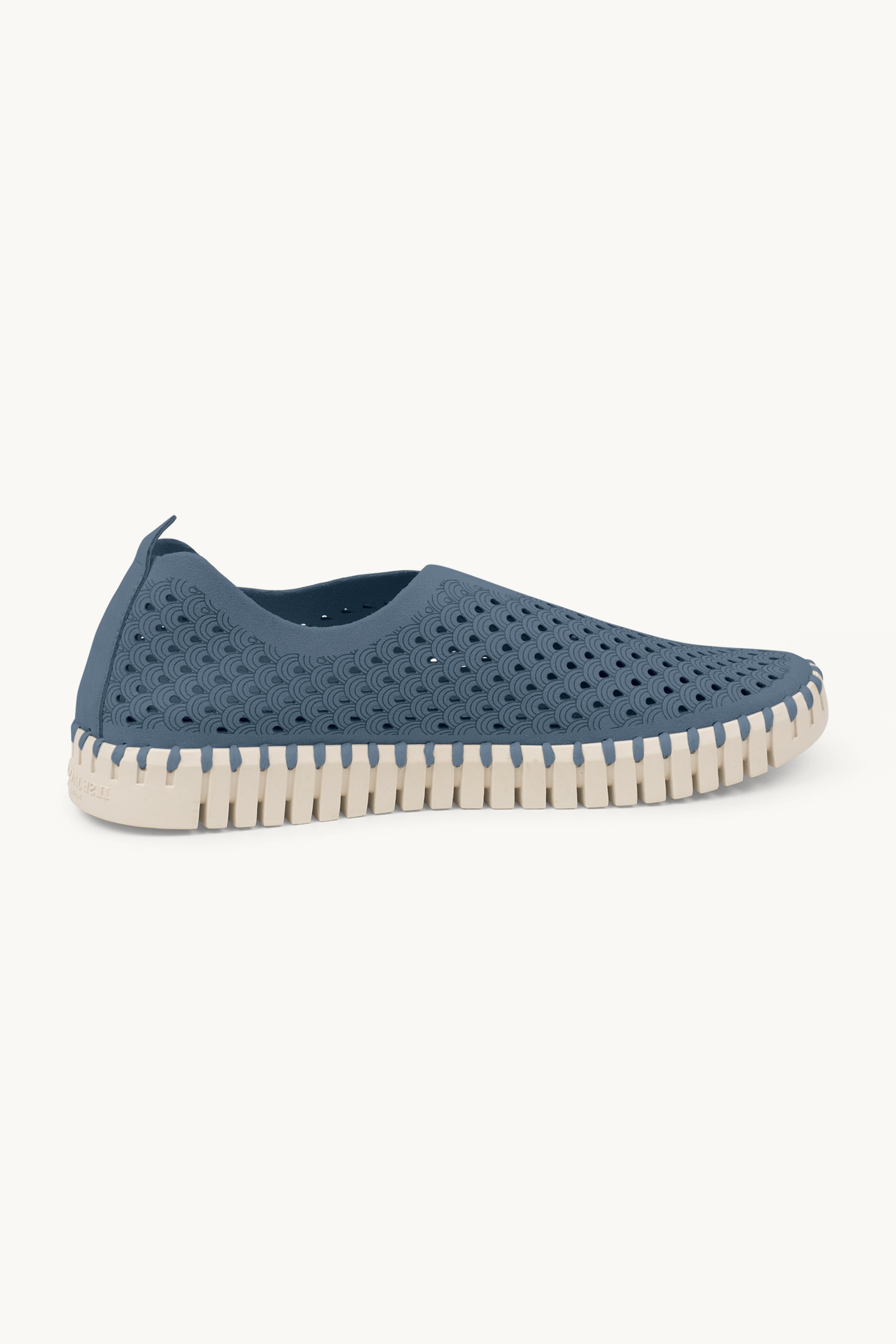 Tulip Zapatos Planos - Grey Blue