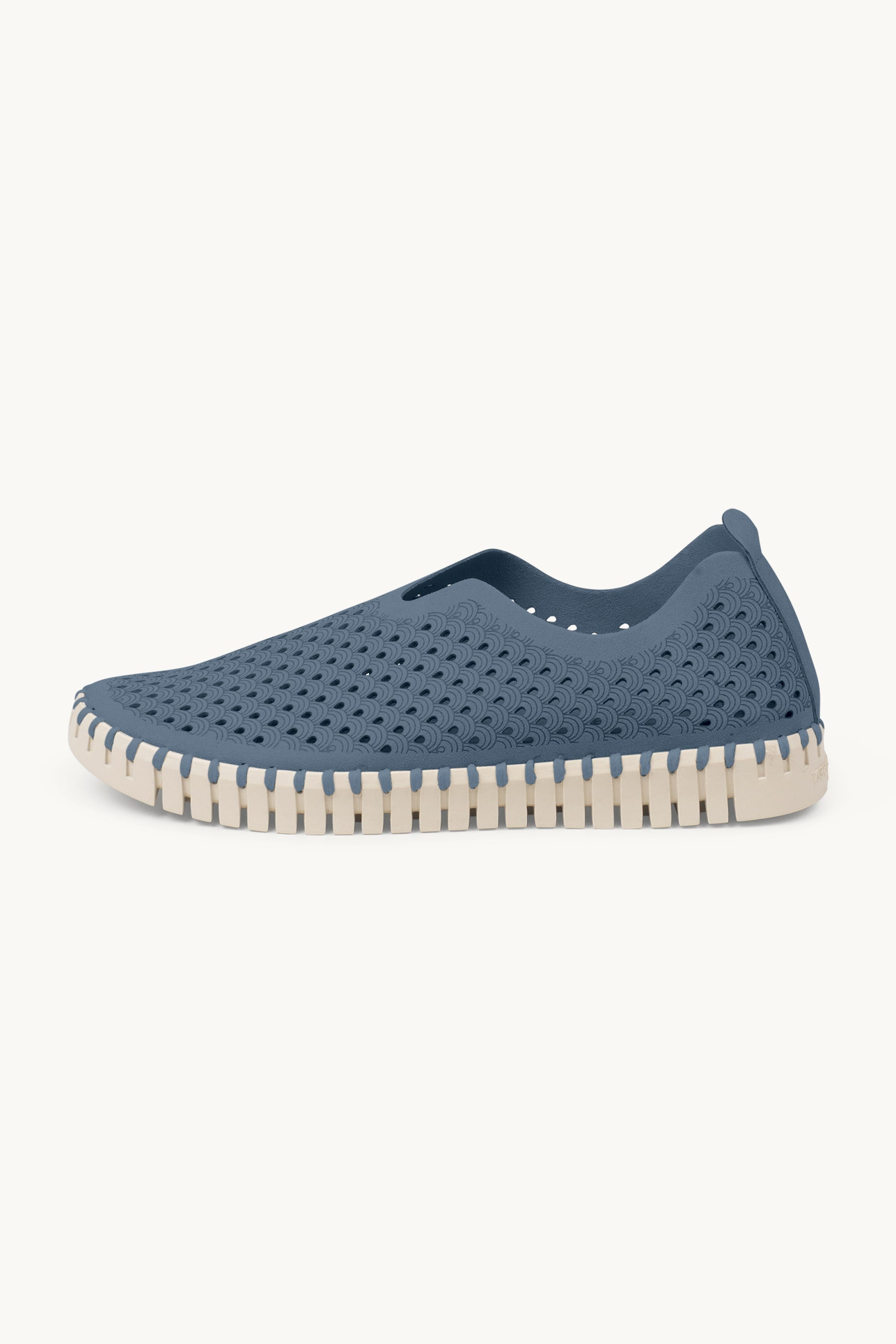 Tulip Zapatos Planos - Grey Blue