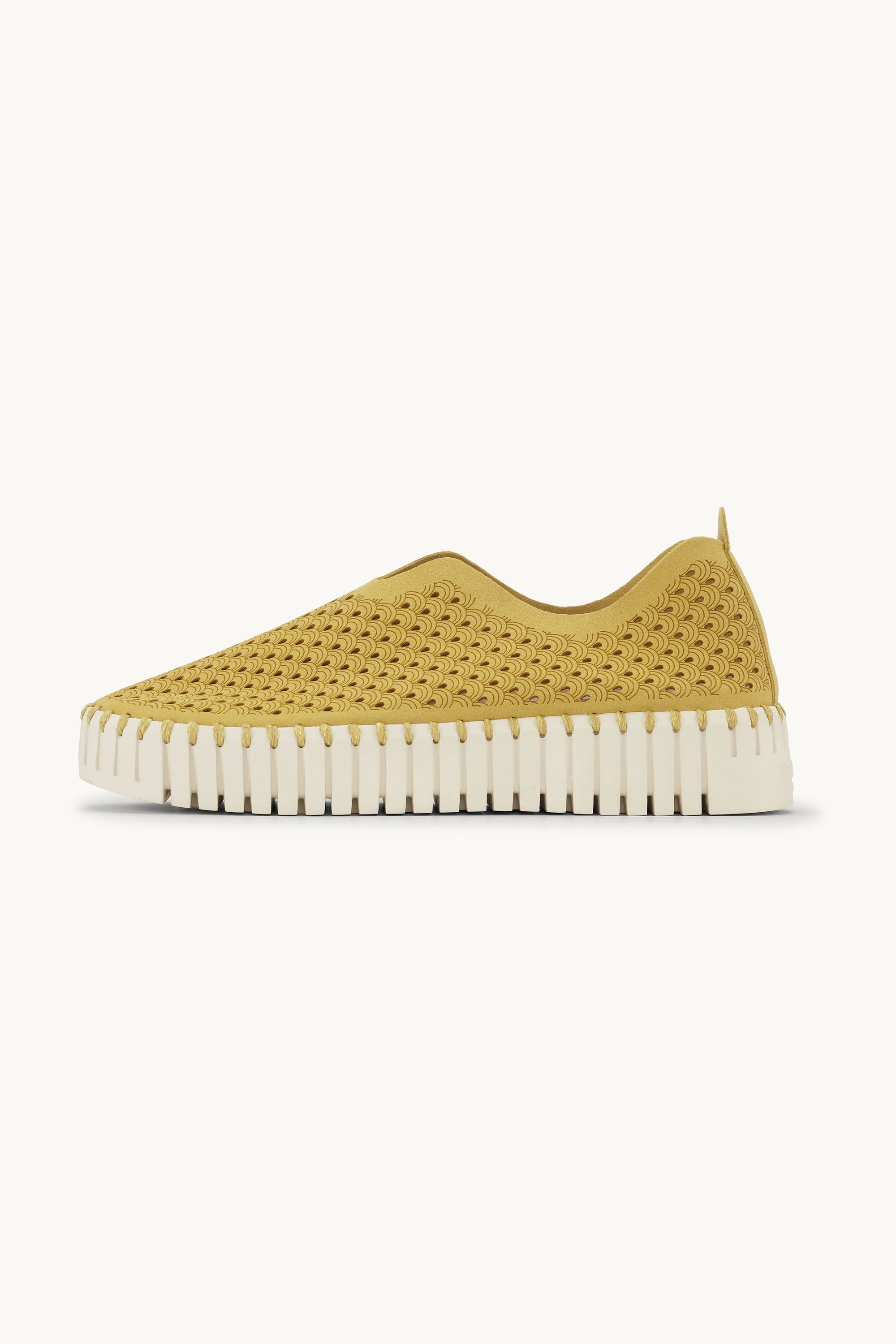 Platform Tulip Flats - Golden Rod