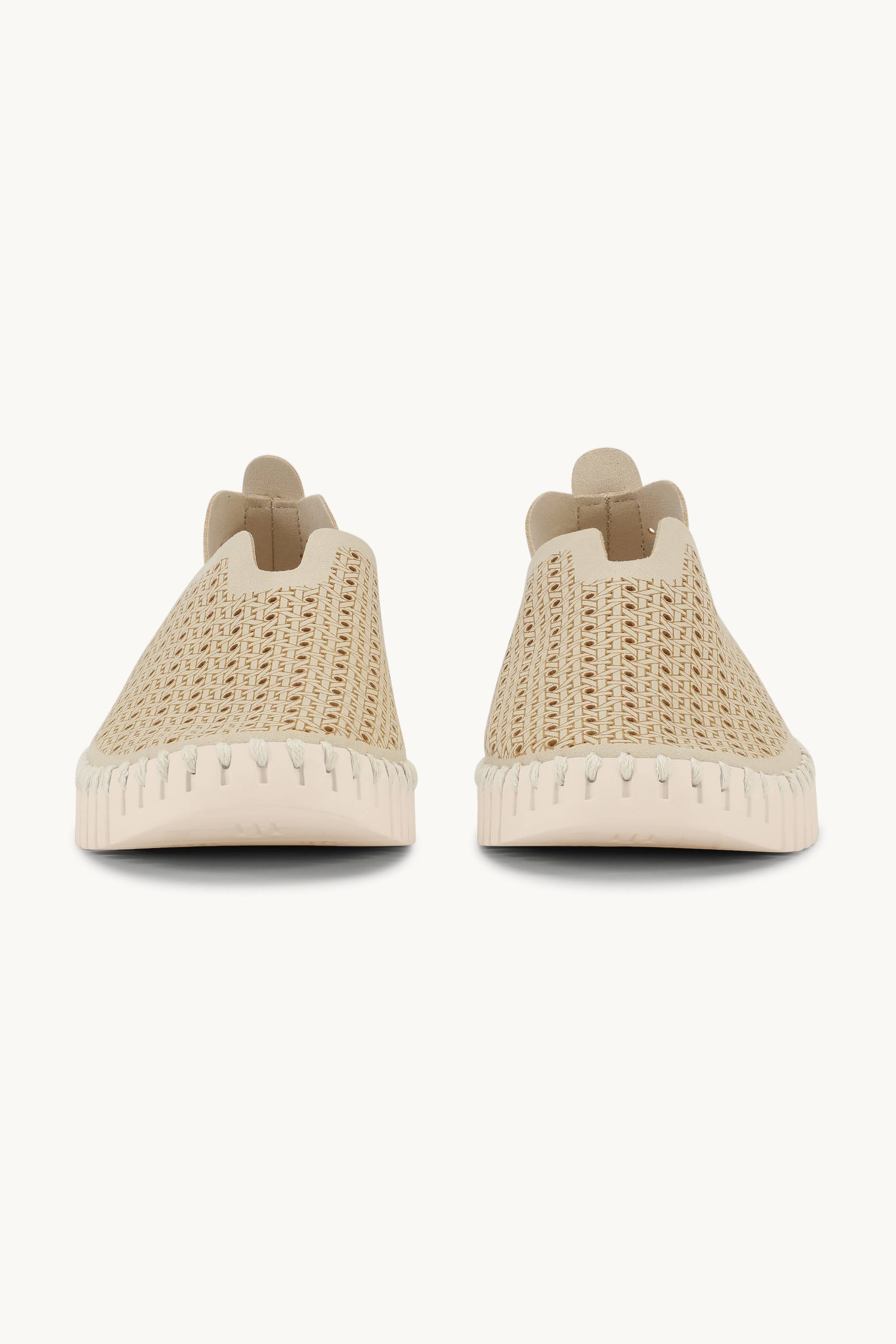 Tulip Zapatos - Kit Pearled Ivory