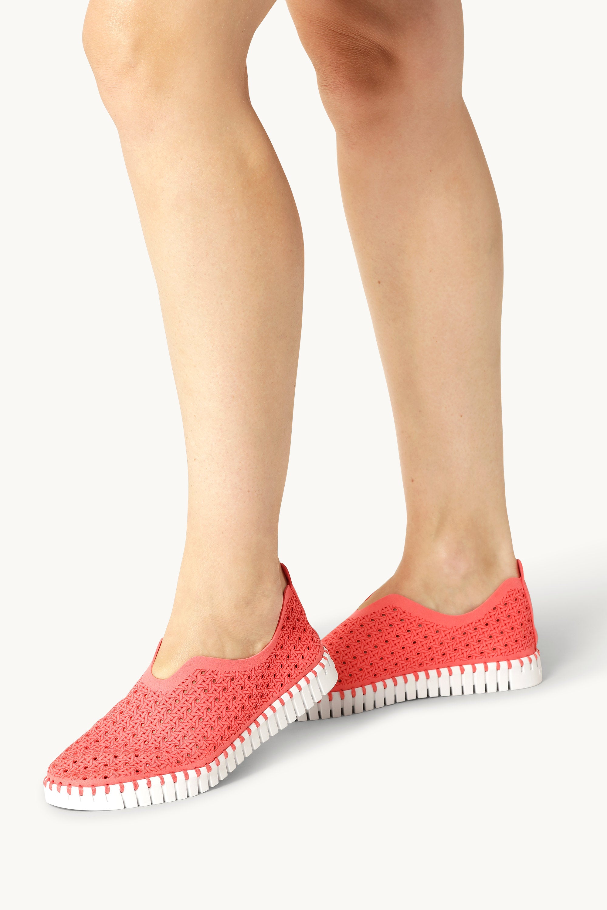 Tulip Flats - Raspberry White