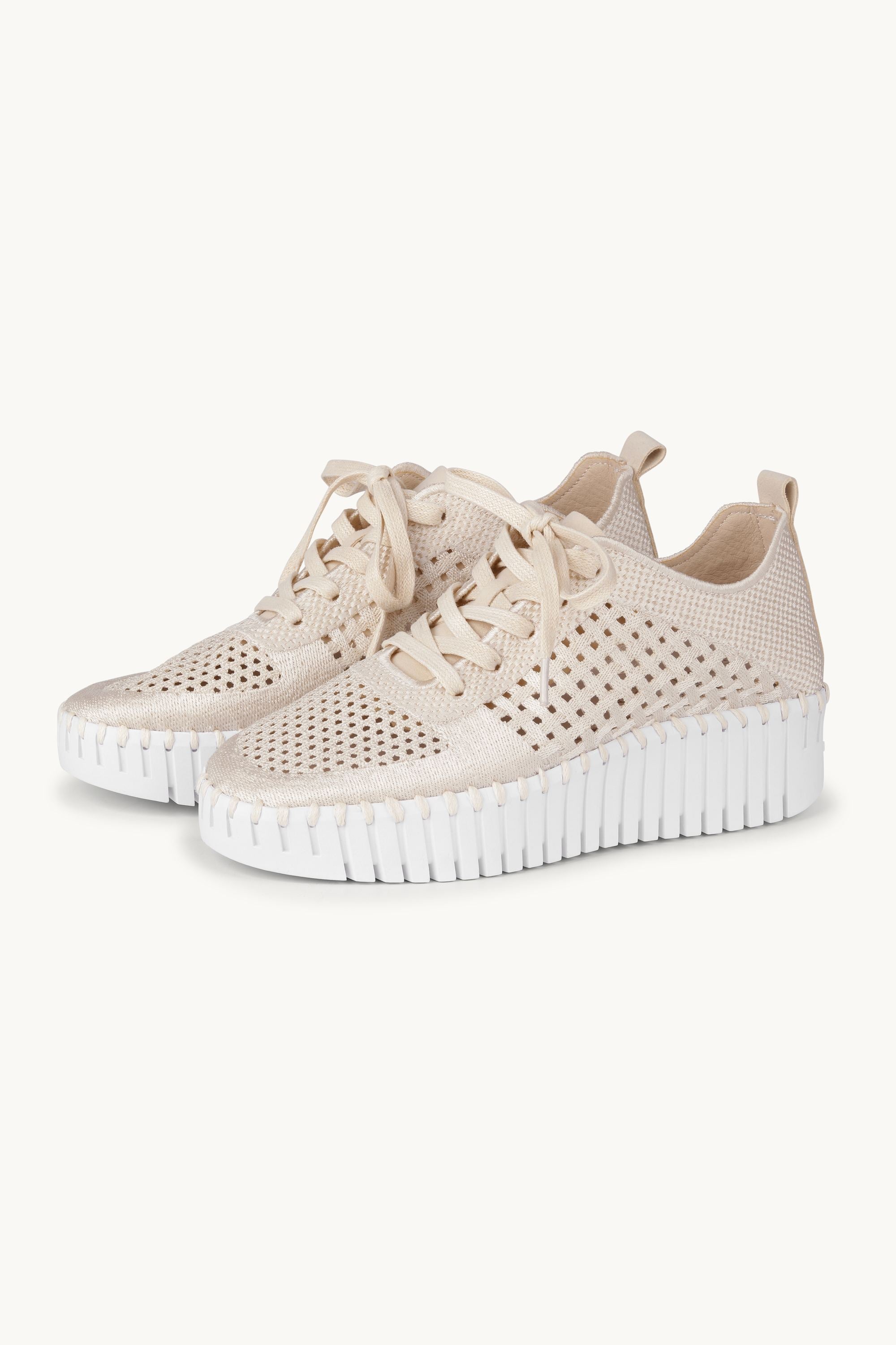 Tulip Zapatos Con Cordones - Kit White