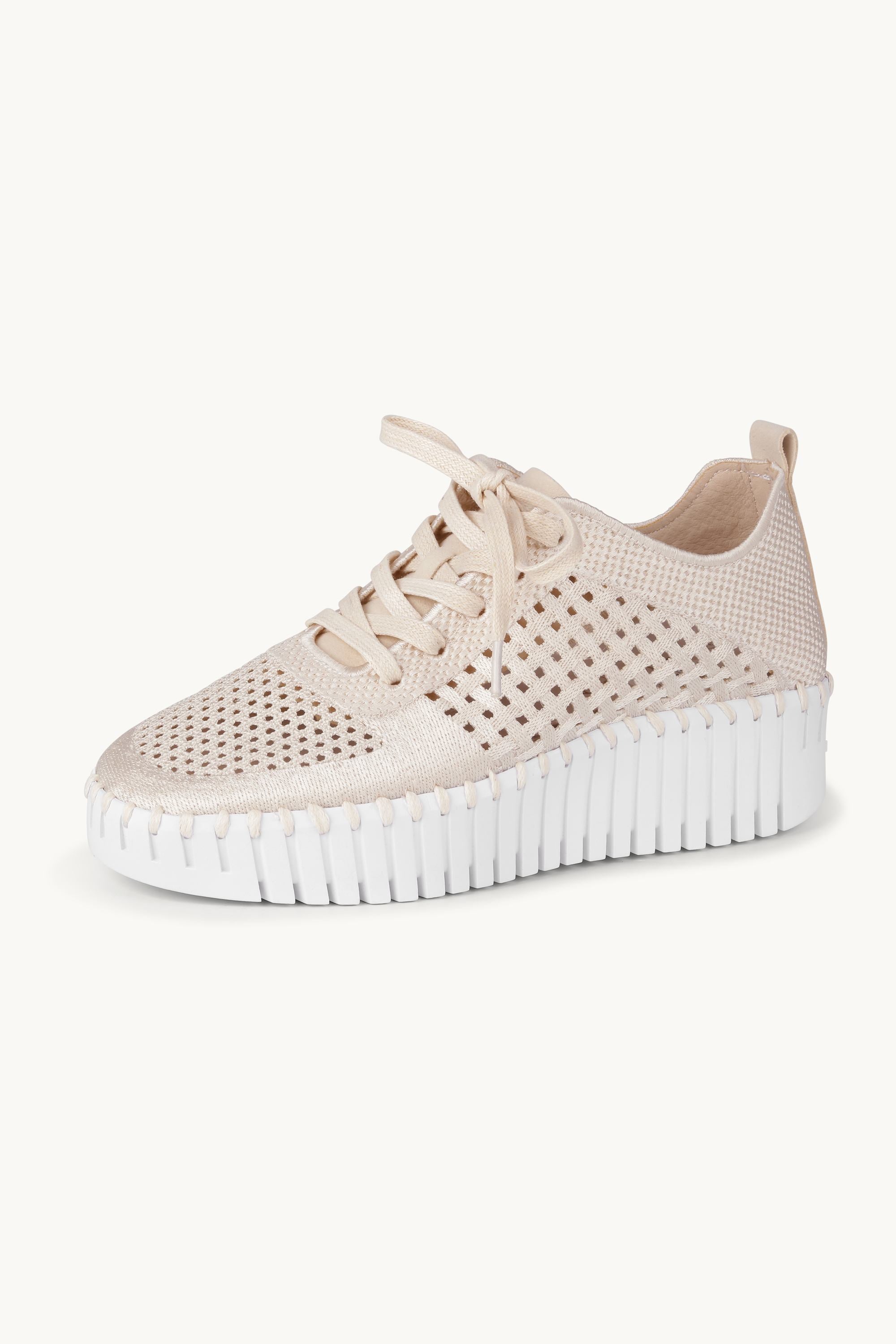 Tulip Zapatos Con Cordones - Kit White