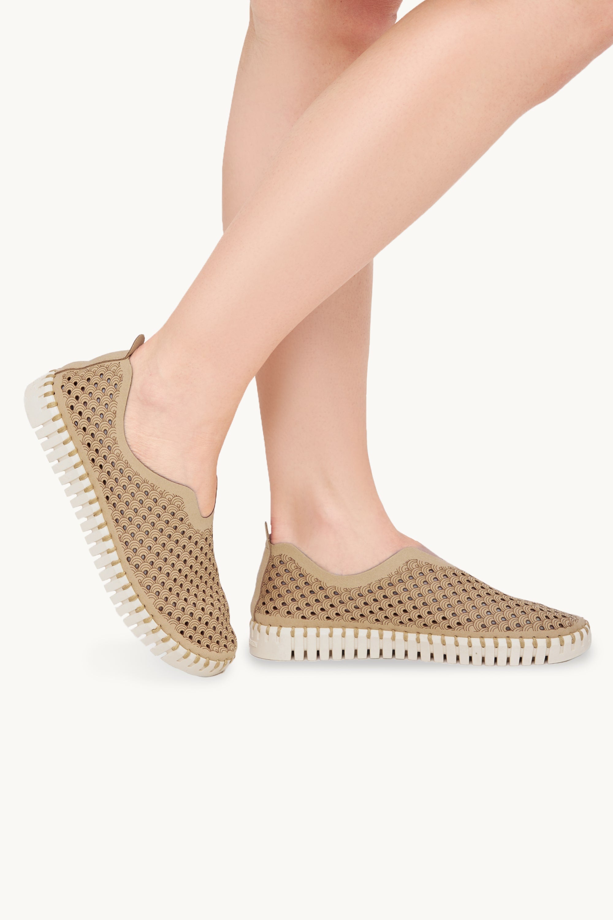 Tulip Zapatos Planos - Latte