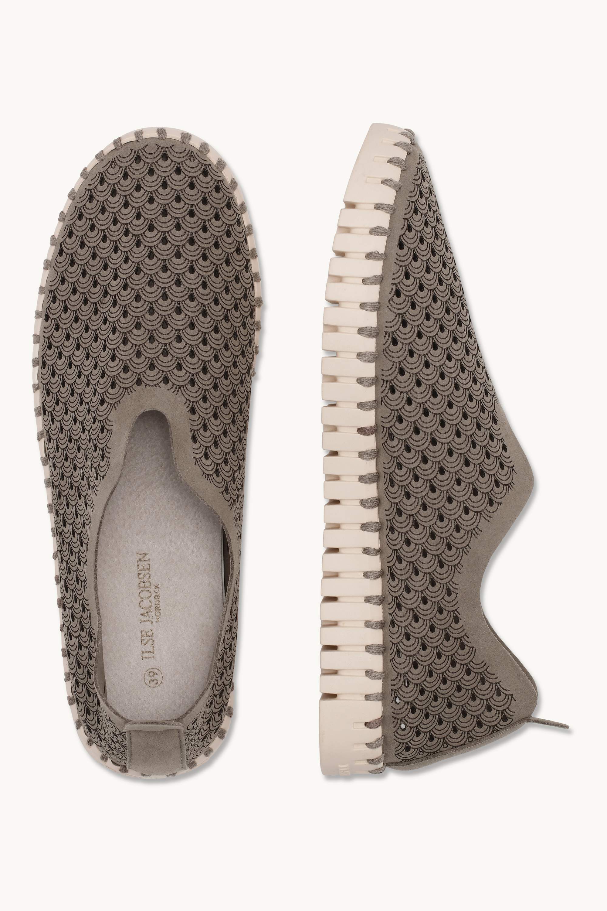 Tulip Flats - Falcon