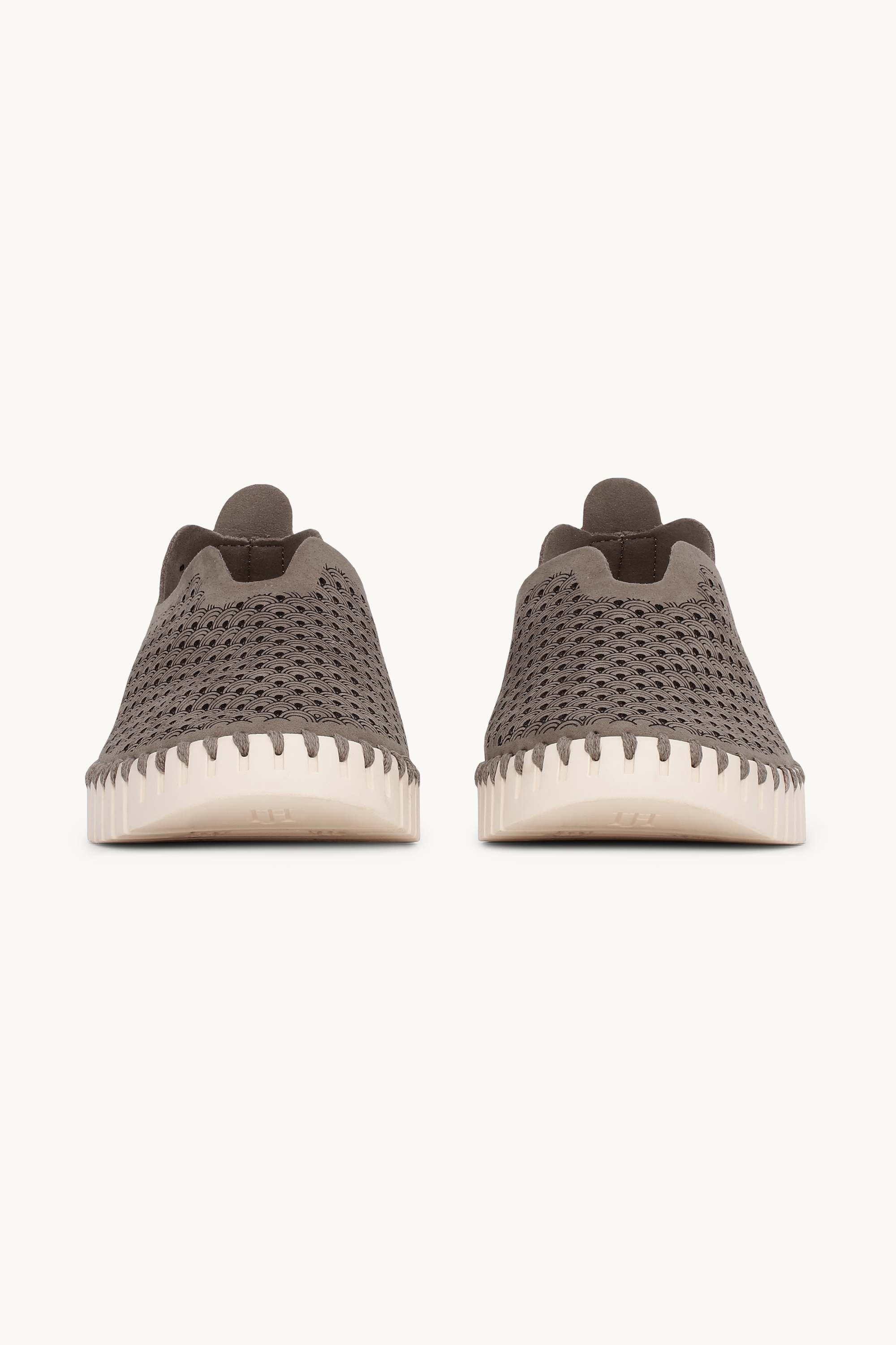 Tulip Flats - Falcon