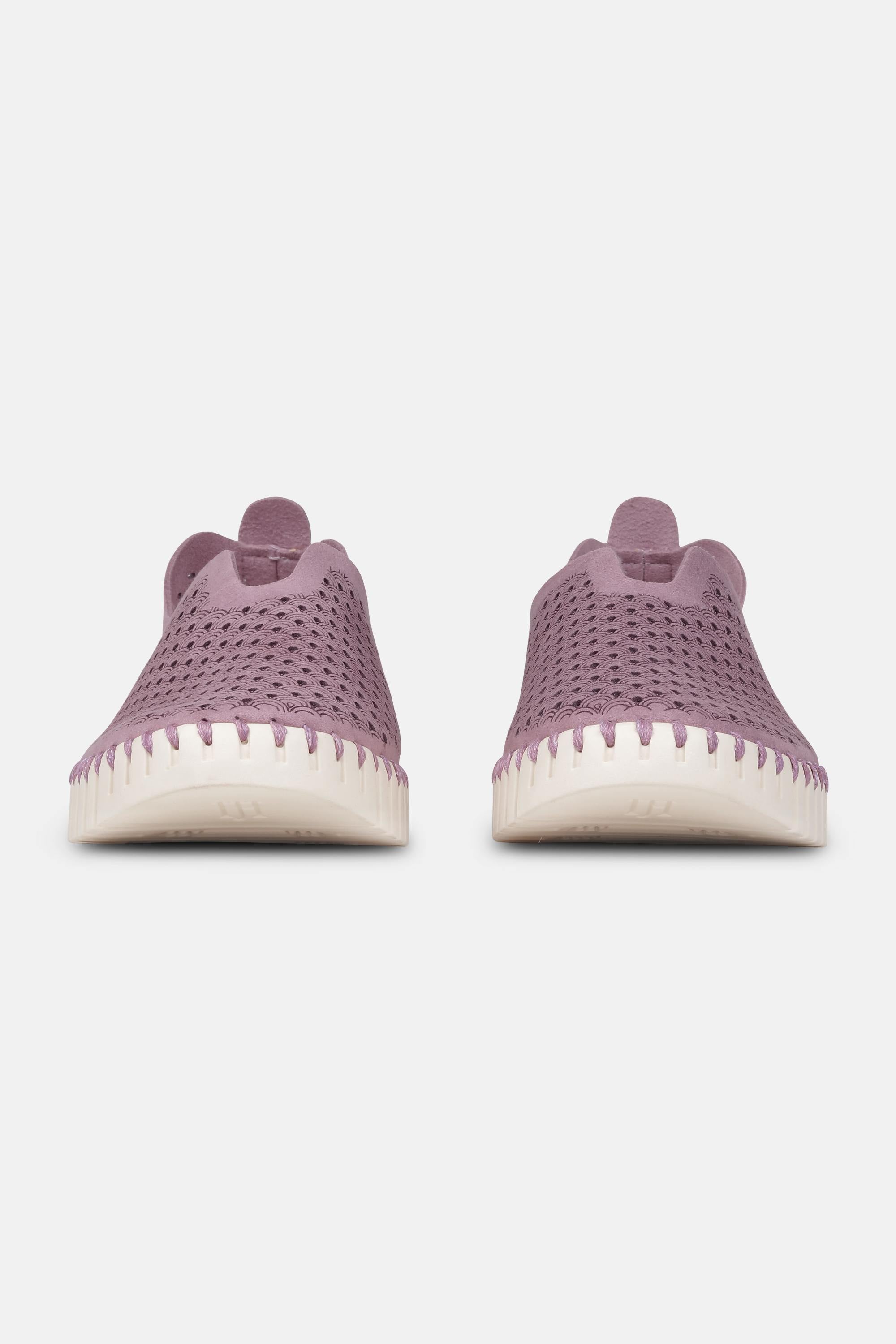 Tulip Flats - Mauve Shadows