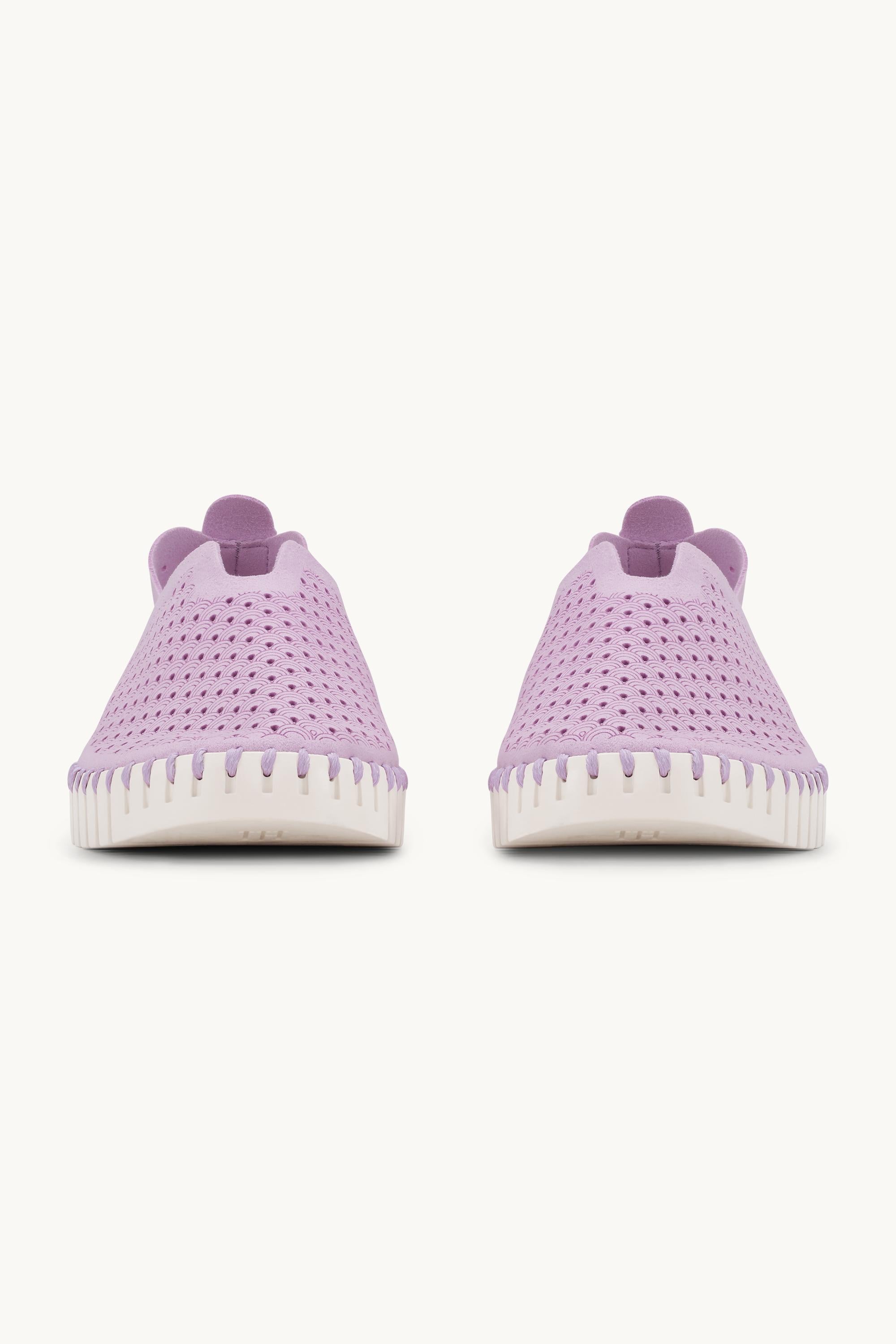 Tulip Flats - Bubble