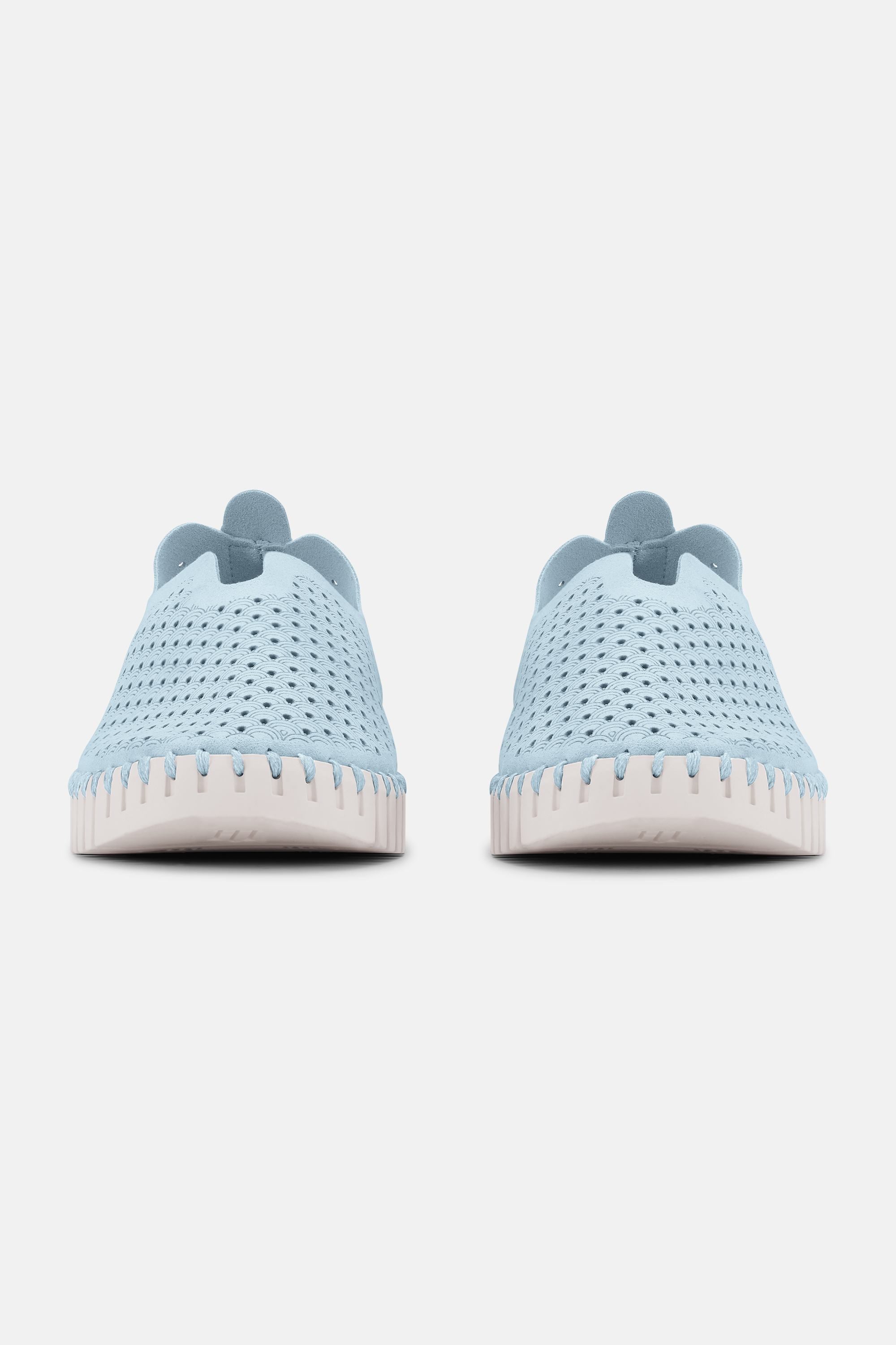 Tulip Zapatos Planos - Ash Blue