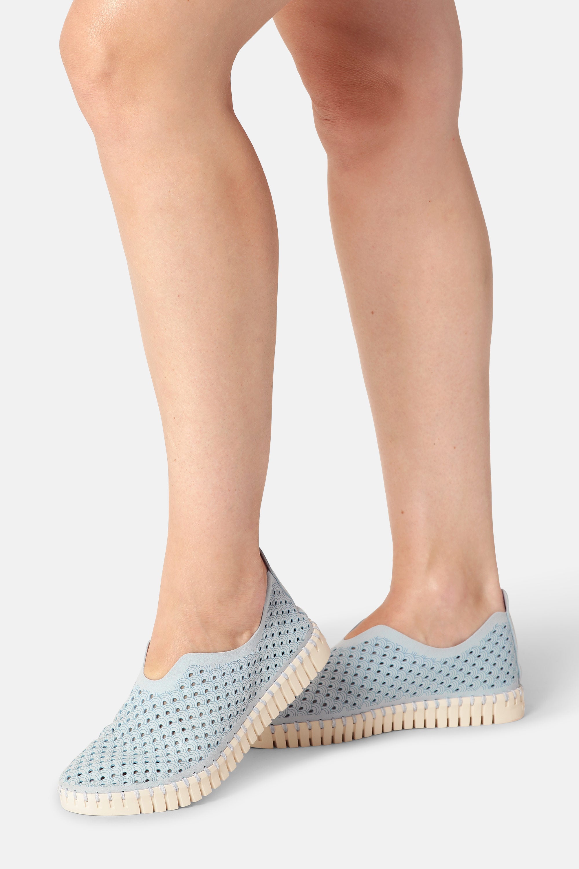 Tulip Zapatos Planos - Ash Blue