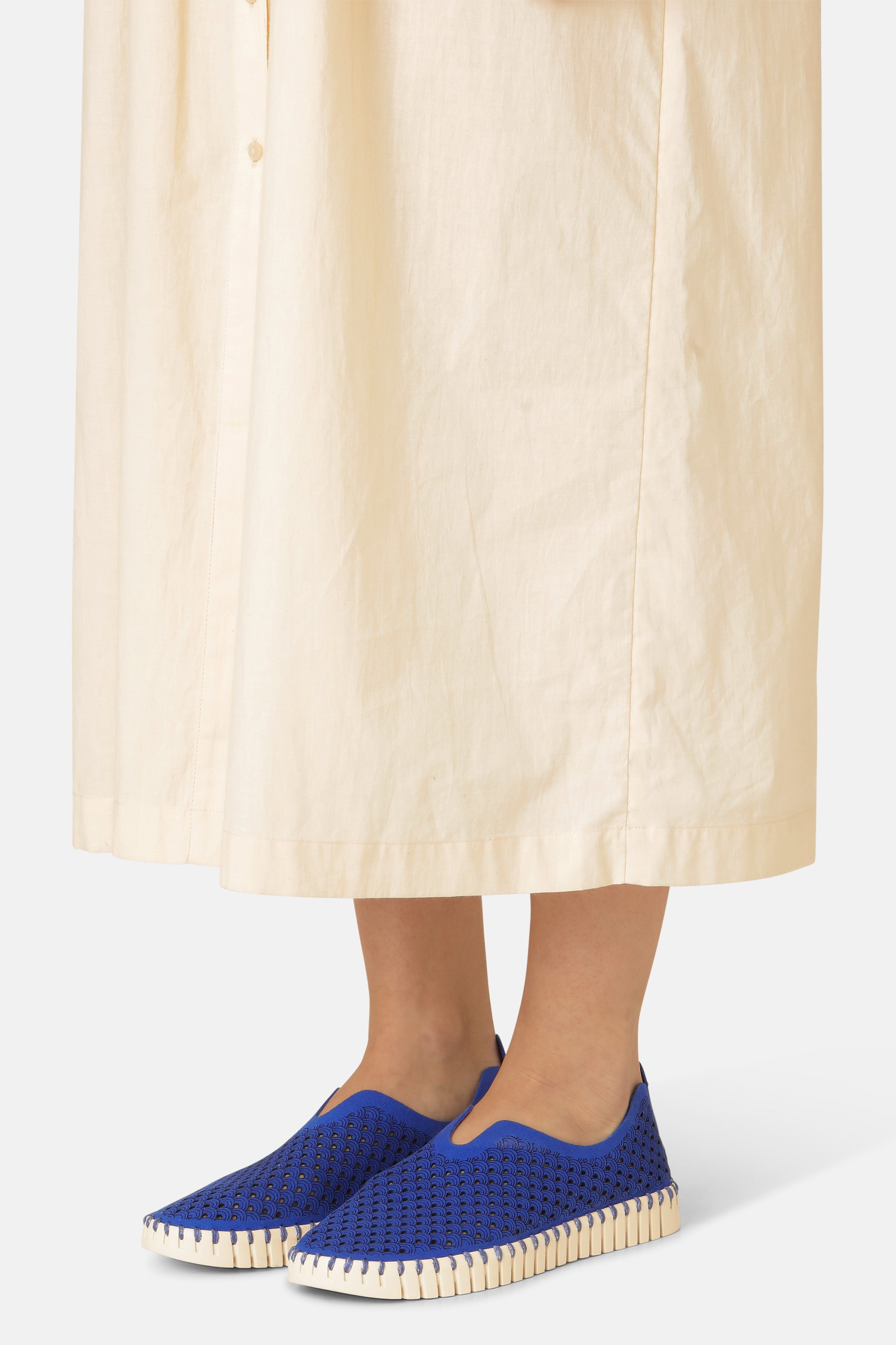 Tulip Flats - Blue Web