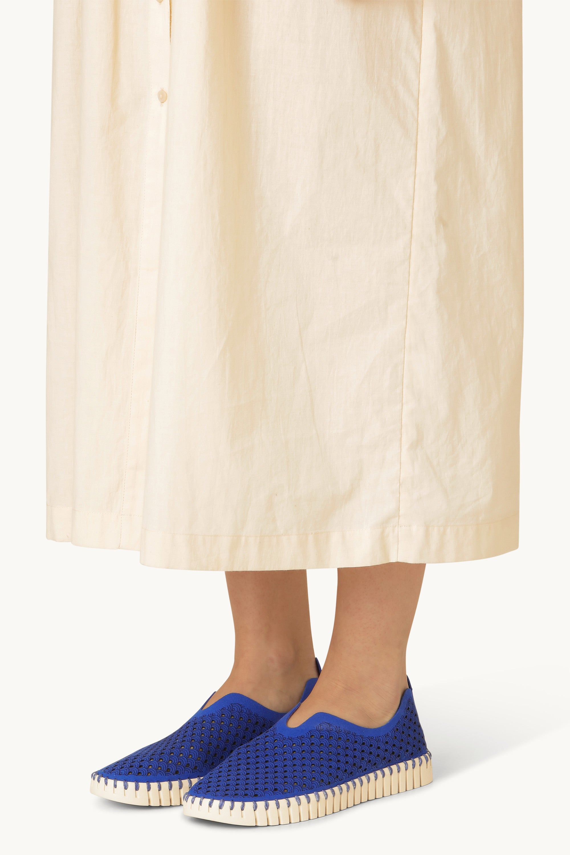 Tulip Flats - Blue Web