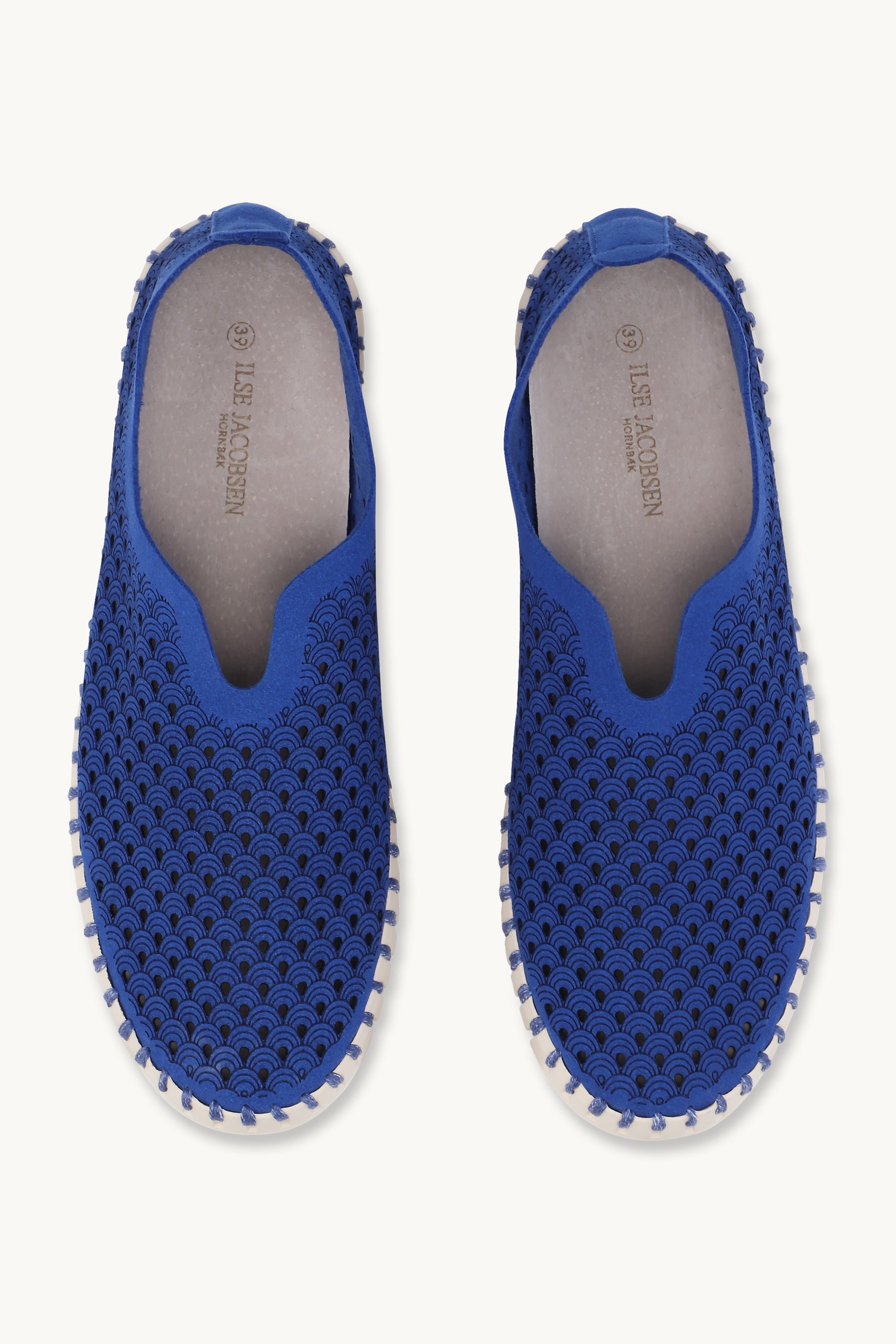 Tulip Flats - Blue Web