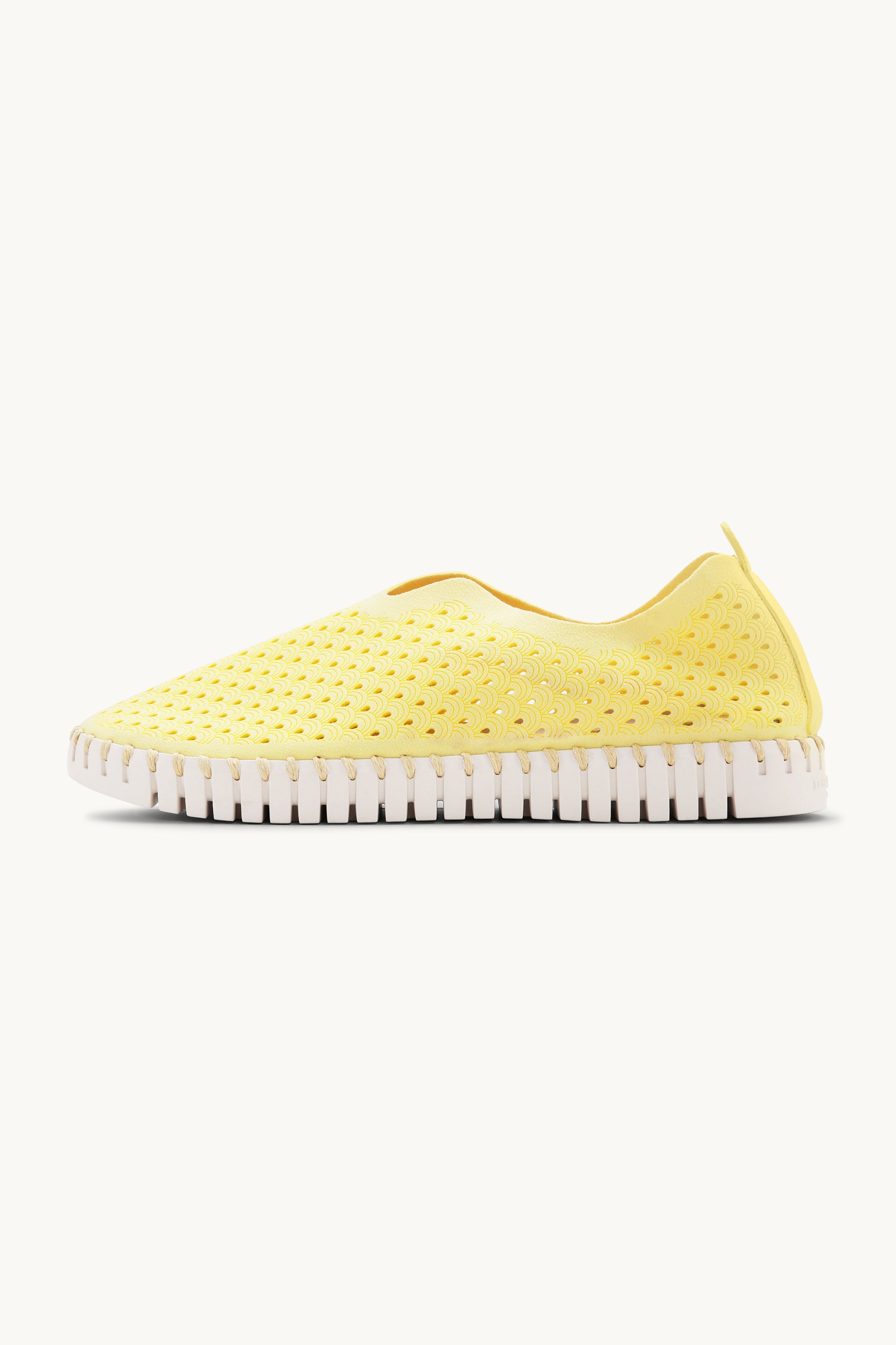 Tulip Flats - Lemon Drop