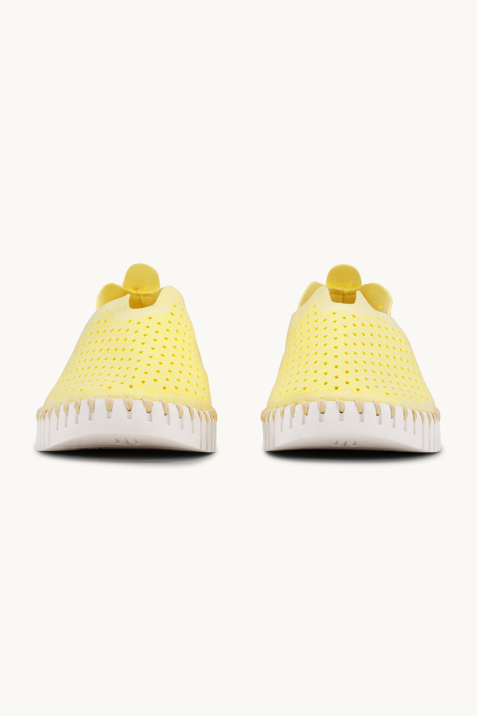 Tulip Flats - Lemon Drop