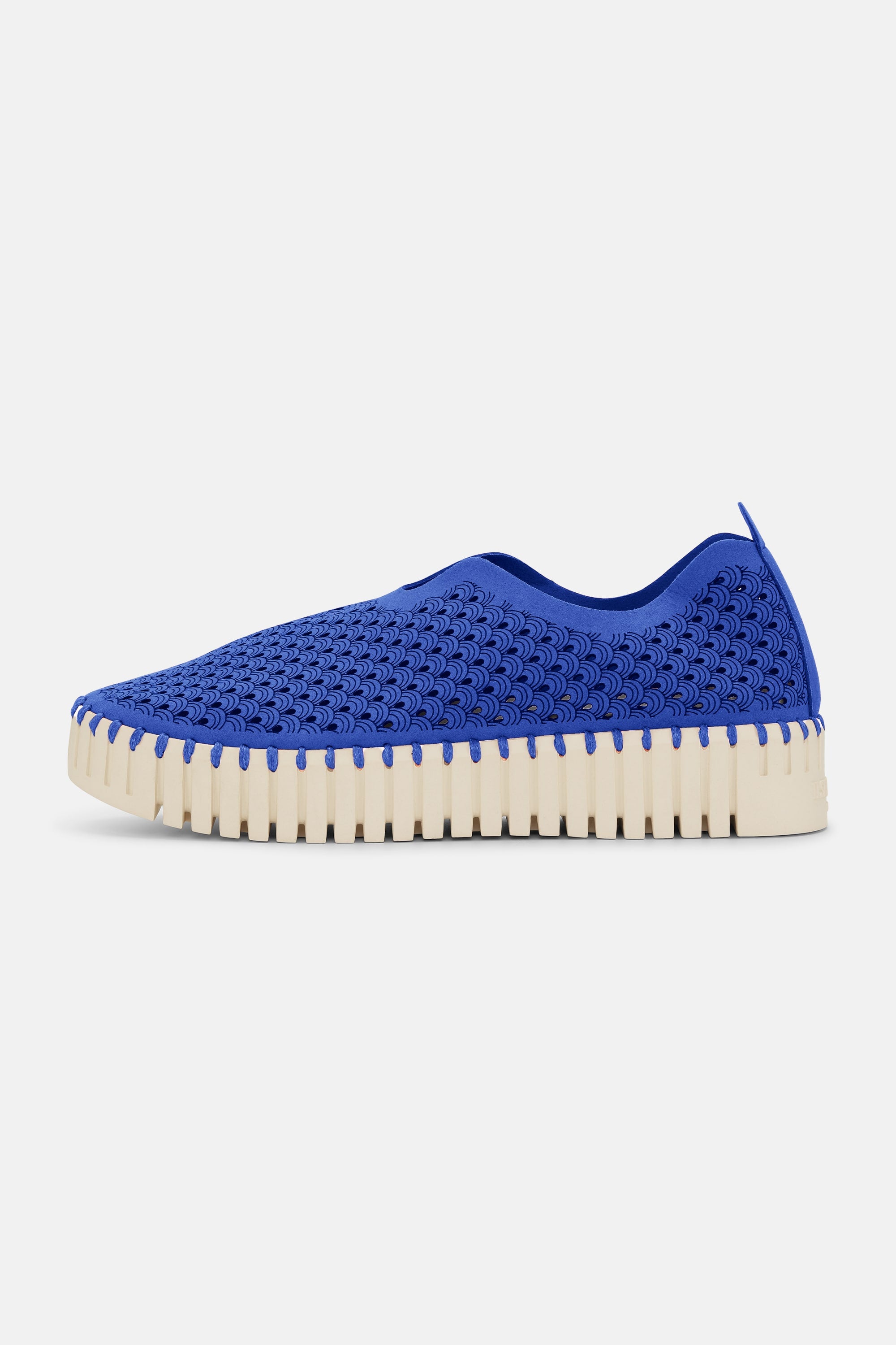 Platform Tulip Flats - Blue Web