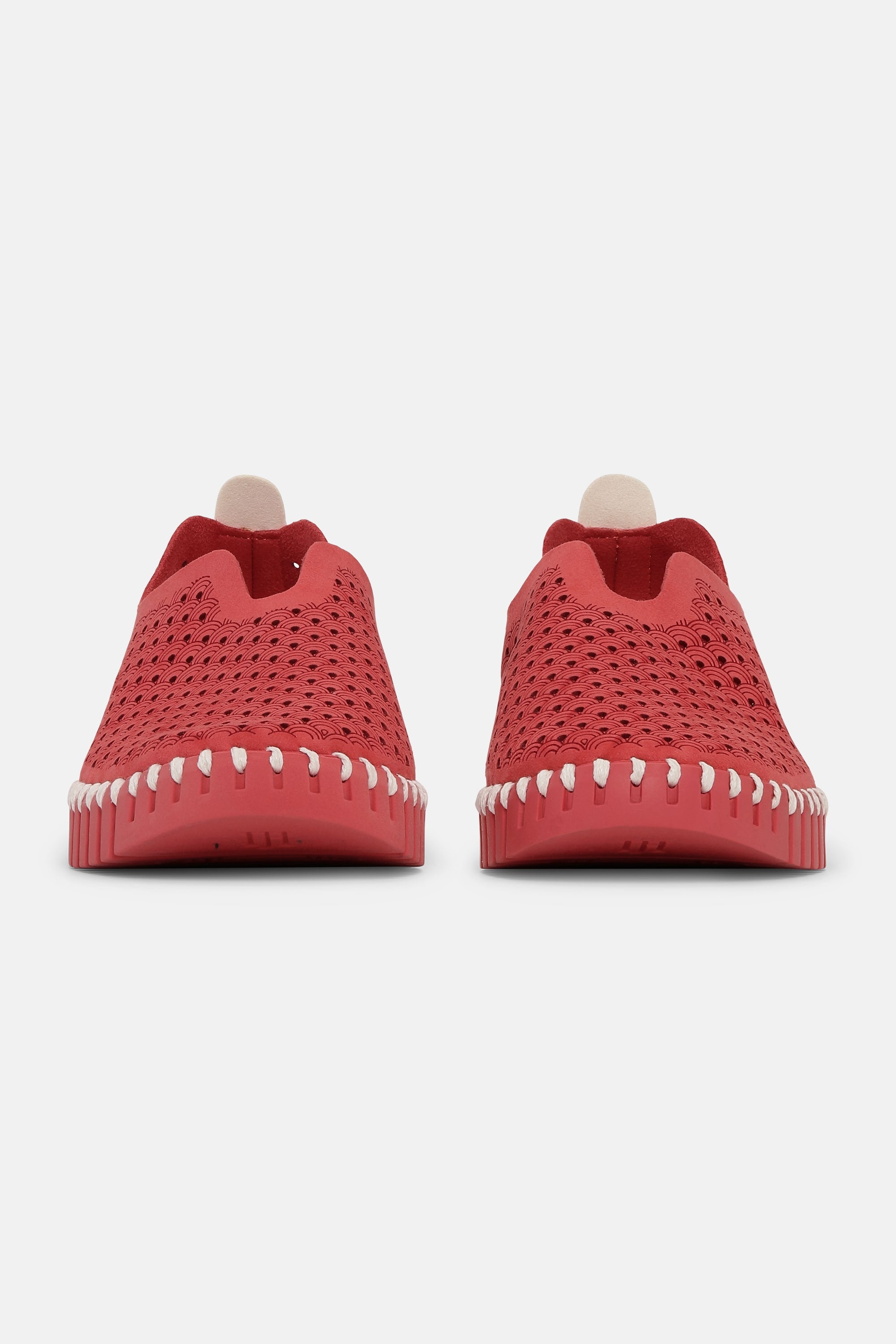 Tulip Zapatos - Baked Apple Baked Apple