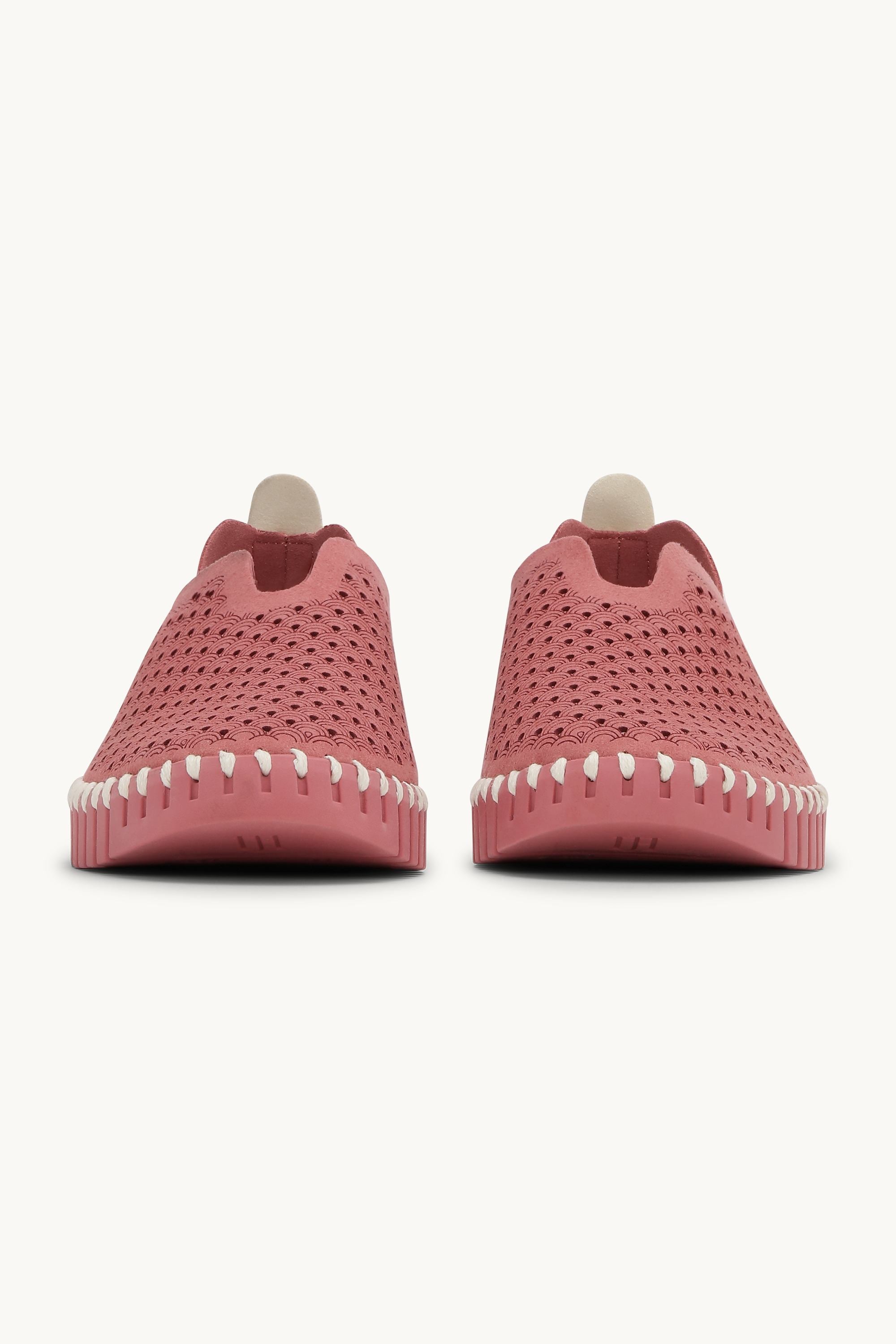 Tulip Flats - Rouge Rouge