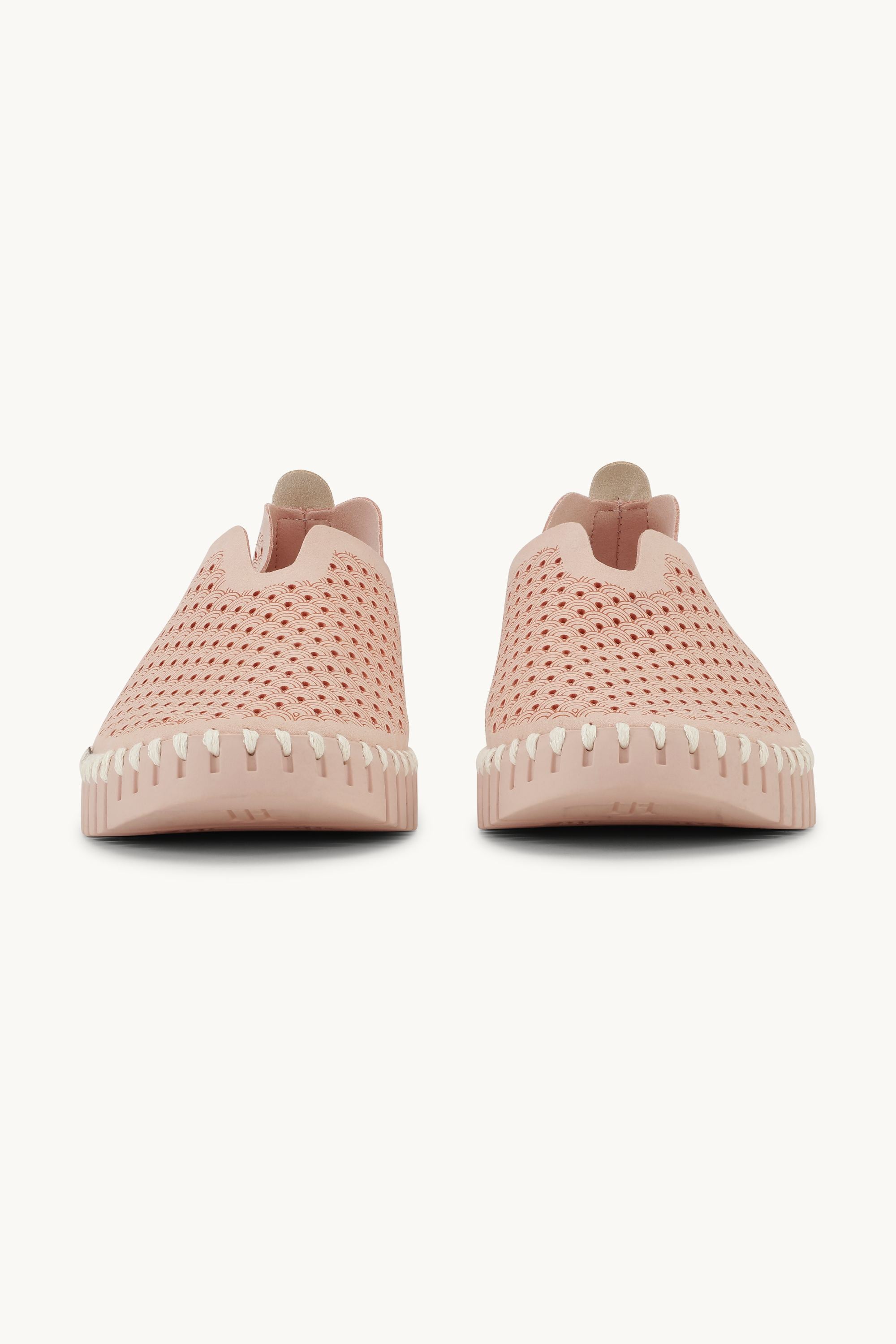 Tulip Flats - Adobe Rose Adobe Rose