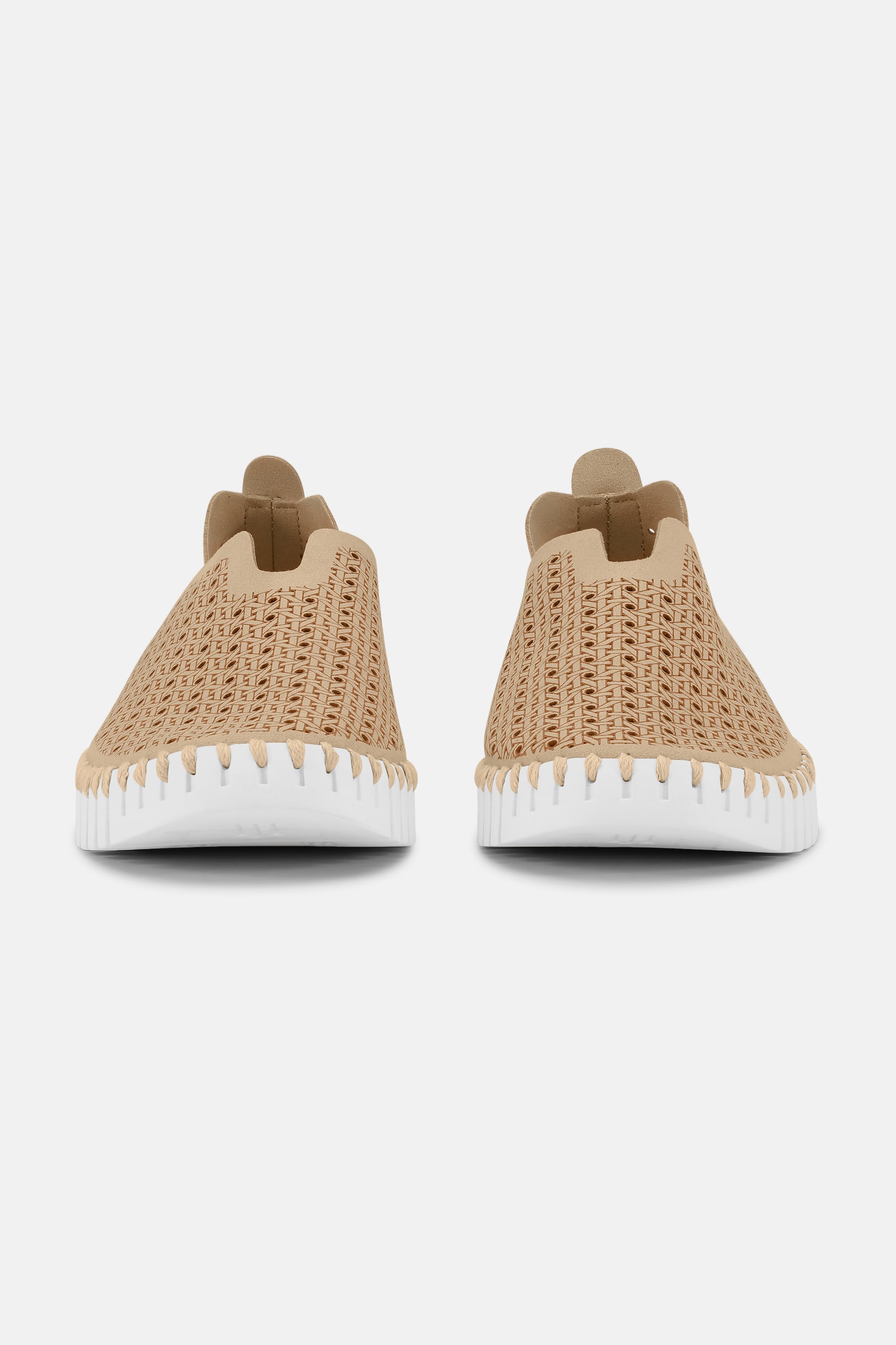 Tulip Zapatos - Latte White