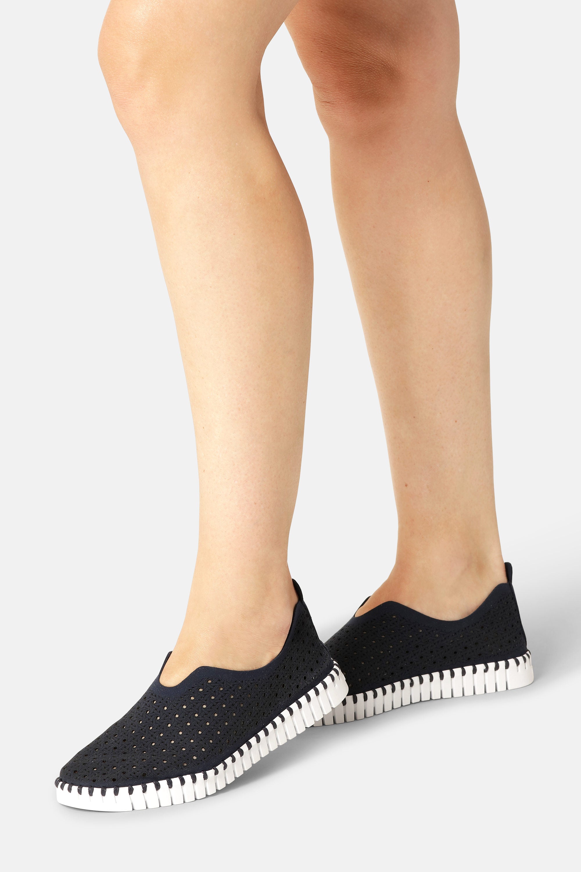 Tulip Zapatos - Dark Indigo White