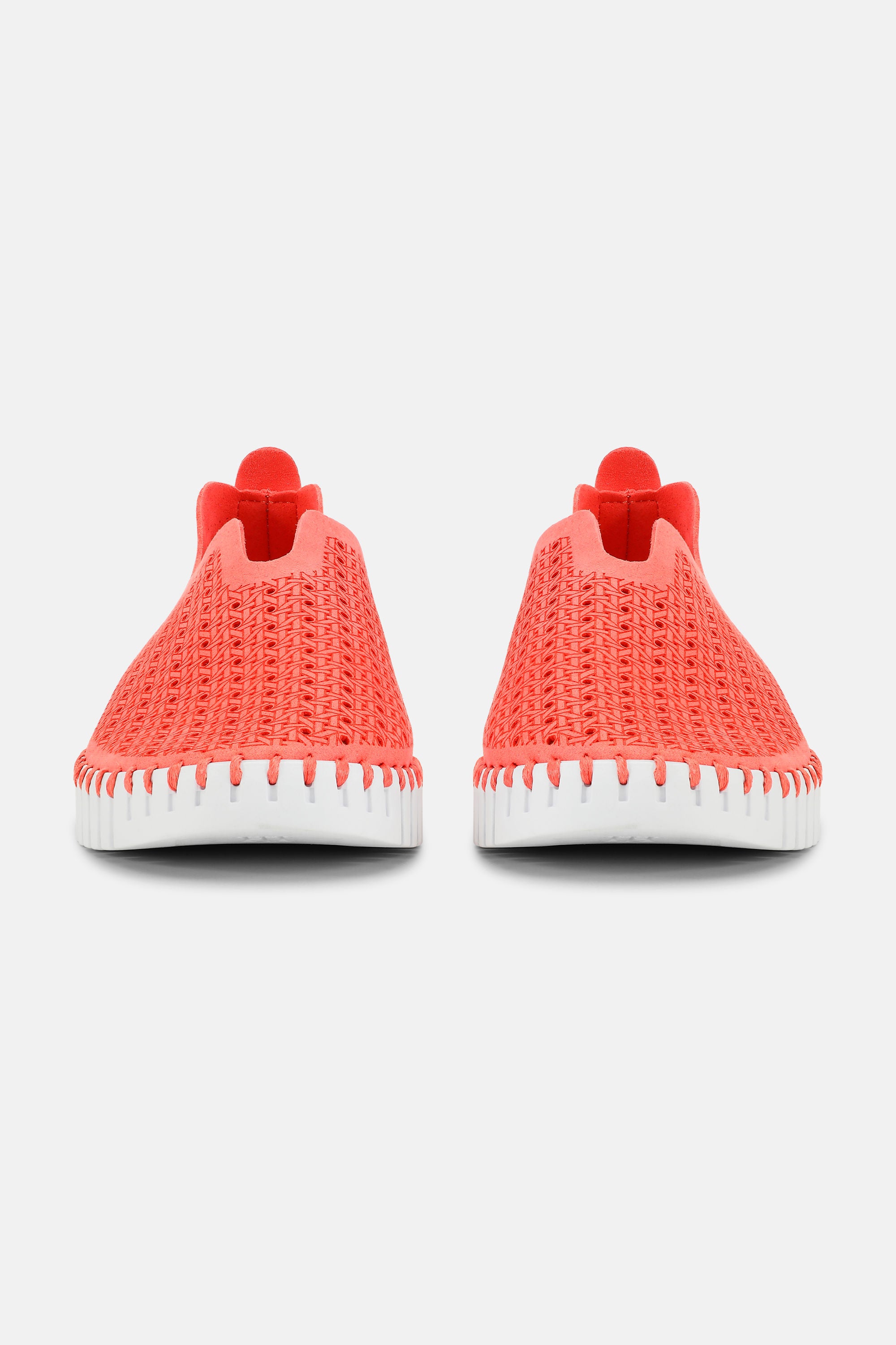 Tulip Zapatos - Raspberry White