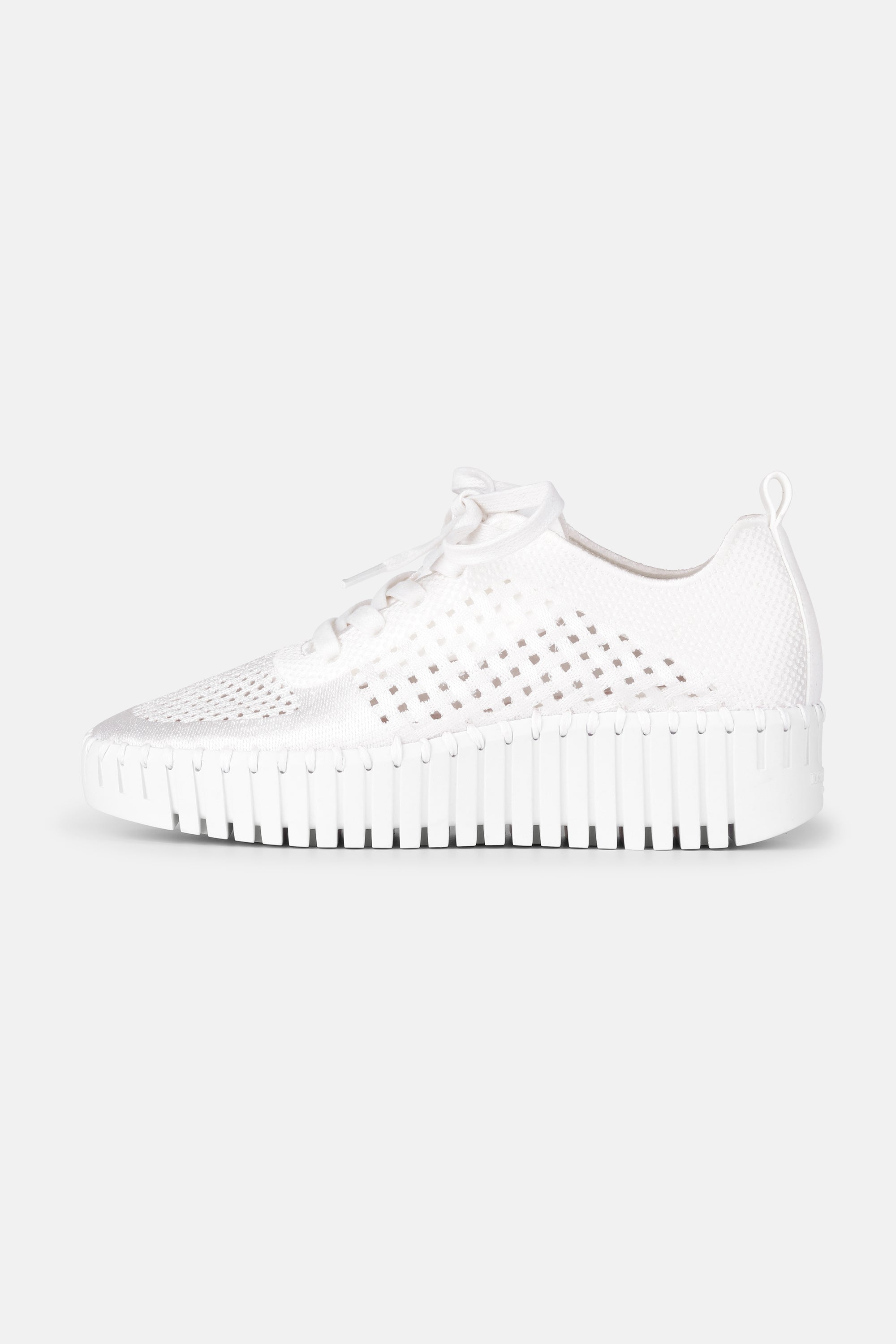 Tulip Zapatos Con Cordones - White White